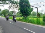 tiang listrik PLN