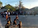 perang timbung (1)